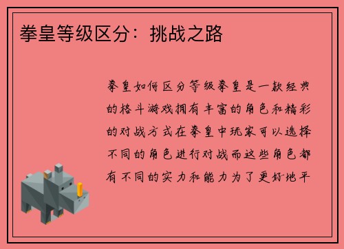 拳皇等级区分：挑战之路
